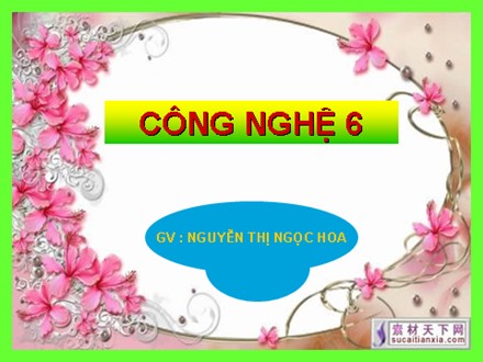 Bài giảng Công nghệ Lớp 6 - Bài 15: Cơ sở của ăn uống hợp lí - Nguyễn Thị Ngọc Hoa