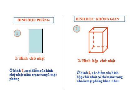 Bài giảng Hình học Lớp 8 - Tiết 55: Hình hộp chữ nhật