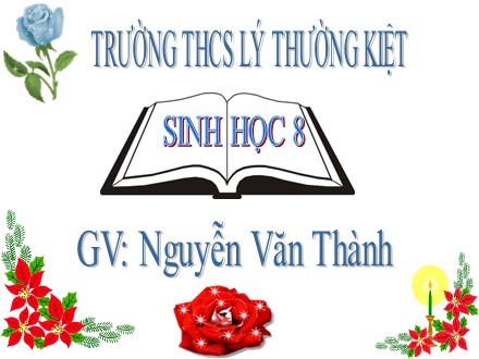 Bài giảng Sinh học Lớp 8 - Tiết 47: Dây thần kinh tủy - Nguyễn Văn Thành