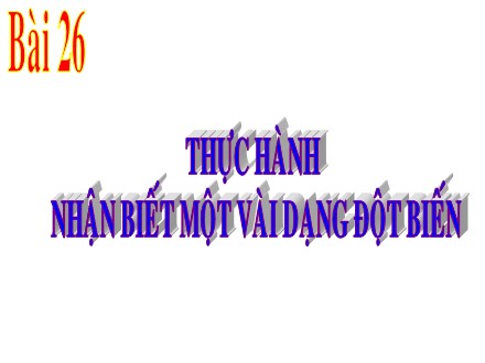 Bài giảng Sinh học Lớp 9 - Bài 26: Thực hành nhận biết một vài dạng đột biến - Trường THCS Long Thành