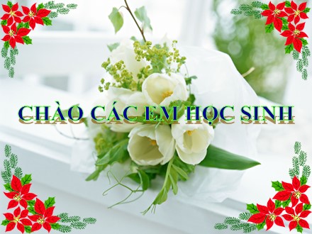 Bài giảng Sinh học Lớp 9 - Bài 45+46: Thực hành tìm hiểu môi trường và ảnh hưởng của một số nhân tố sinh thái lên đời sống sinh vật - Trường THCS Long Thành