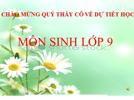 Bài giảng Sinh học Lớp 9 - Bài 49: Quần xã sinh vật - Trường THCS Hưng Thành